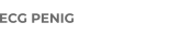 ECG PENIG
